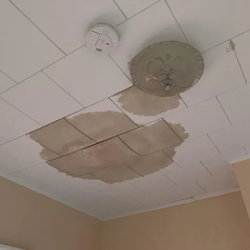 Ceiling Water Damage Repair in Yorkville, IL