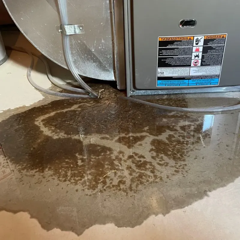 Pipe Burst and Leak Restoration in Yorkville, IL