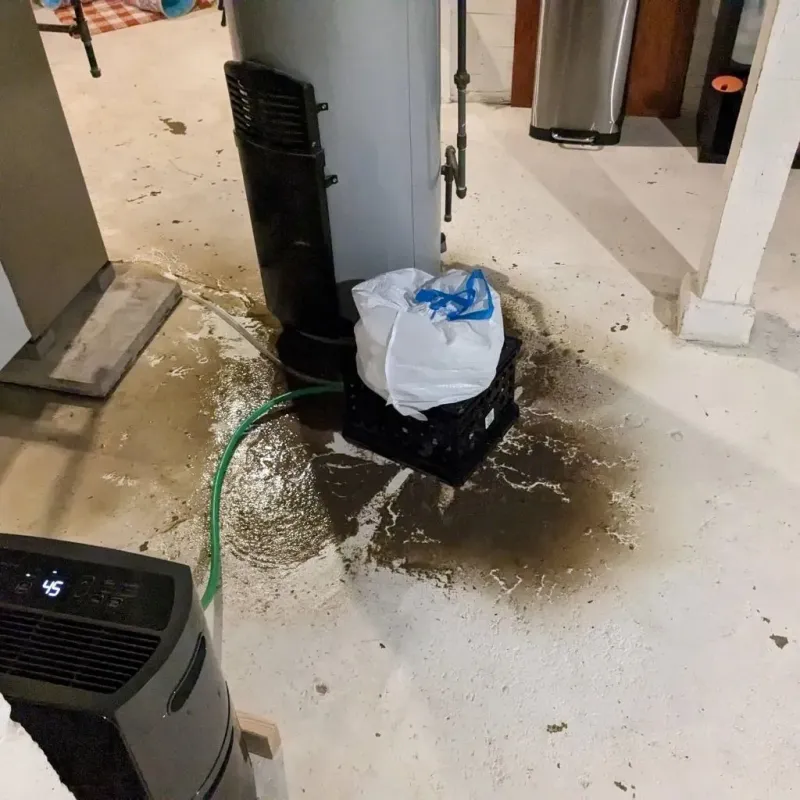 Sewage Backup Cleanup Service in Yorkville, IL